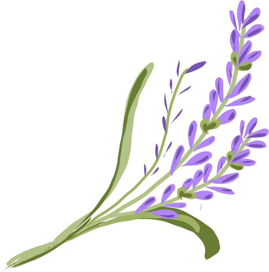 Bunga lavender